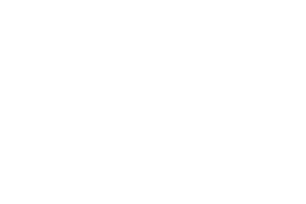LOGO-DoubleAAMetalRoof