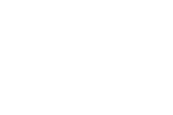 LOGO-ErieAccentPools
