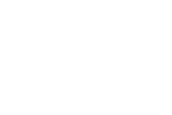 LOGO-Standex