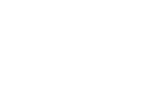 LOGO-TheTribeGym